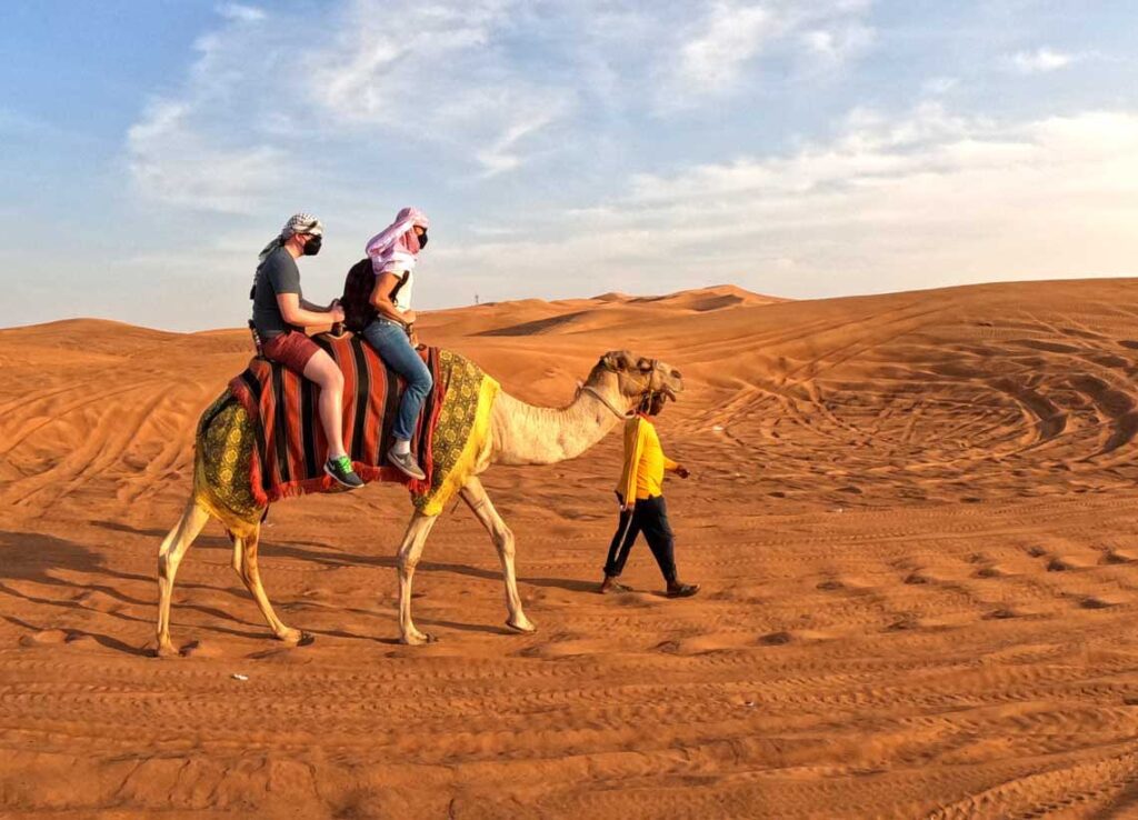 Ukryte skarby Egiptu – Wadi el-Gemal park narodowy