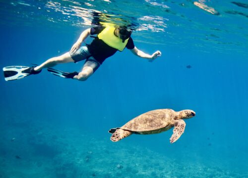 Egipt w duchu eko: Jak podróżować odpowiedzialnie i chronić piękno tego niezwykłego kraju?