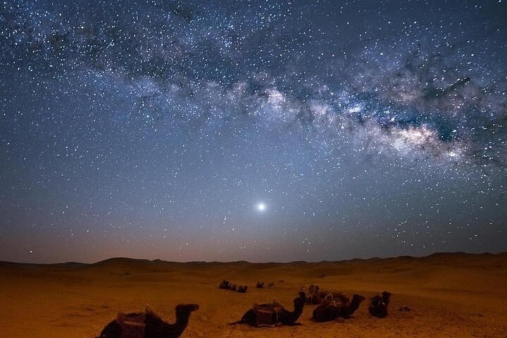 oclegi pod gwiazdami na egipskiej pustyni safari