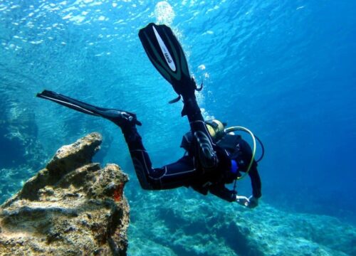 Podwodny świat Morza Czerwonego – snorkeling i nurkowanie