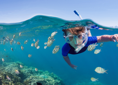 Rodzinne wycieczki na wyspy Morza Czerwonego – przygoda, relaks i magia Hurghady