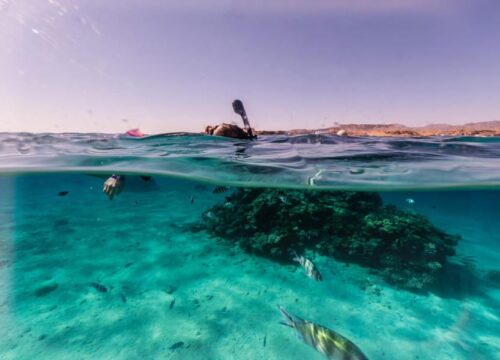 Wyspa Giftun – kompletny przewodnik: rejs, nurkowanie, plaże, program wycieczki i dlaczego to jedno z najpiękniejszych miejsc Egiptu