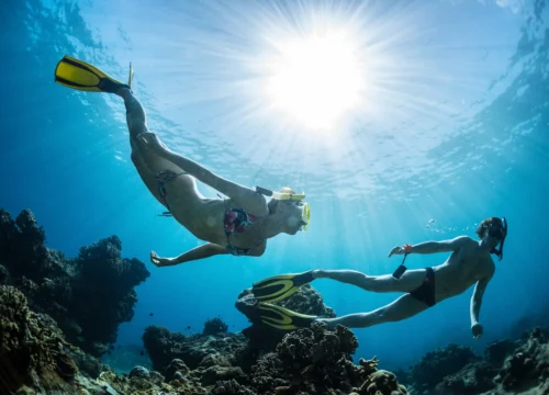 Rafy koralowe Egiptu: top lokalizacje do snorkelingu i nurkowania w Morzu Czerwonym