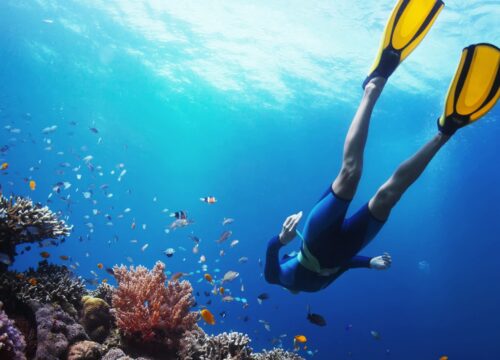 Kompletny przewodnik po najpopularniejszych wycieczkach z Hurghady w 2025 roku