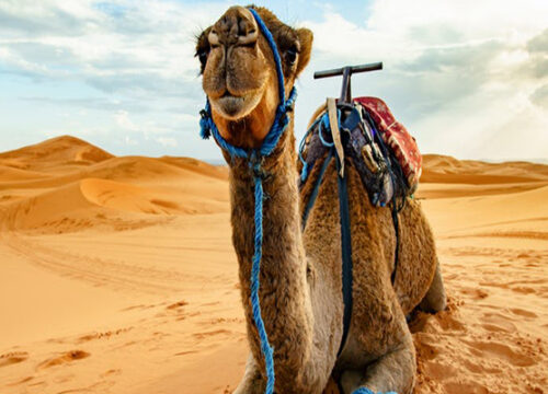 Egipt poza Hurghadą – 5 miejsc, które warto odwiedzić podczas wycieczek z Hurghady