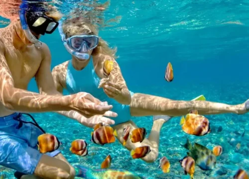 Snorkeling w Egipcie – gdzie zobaczyć rafy koralowe?
