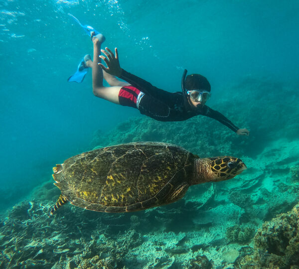 Marsa Mubarak (Żółwie i krowa morska) + Nurkowanie